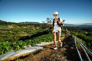 BIB: 9713, 
                            <button type="button" onclick="openModal(19115347)" class="btn btn-primary btn-sm float-right btn-popup" data-toggle="modal" data-target=".modal-high-quality">
                        <i class="fas fa-shopping-cart"></i> Add to Cart
                    </button>
                                            <button type="button" onclick="isThisMe(19115347, true)" class="btn btn-success btn-sm float-right btn-popup btn-isme hidden" data-toggle="tooltip" data-placement="bottom" title="นี่คือรูปของคุณใช่ไหม คลิกที่นี่เพื่อเอาเข้าอัลบั้ม">
                        <i class="fas fa-plus"></i> Add to album
                    </button>
                    <button type="button" onclick="isThisMe(19115347, false)" class="btn btn-warning btn-sm float-right btn-popup btn-isnotme hidden">
                        <i class="fas fa-ban"></i> Remove from album
                    </button>